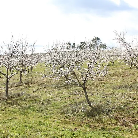 Rural De Bauernhof Vales (Braganca)