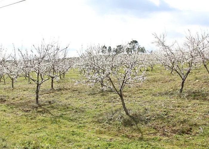 Rural De Lantgård Vales (Braganca)